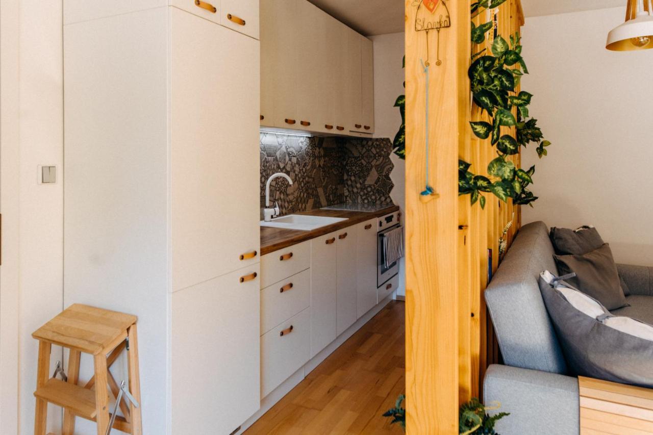 Apartman V Srdci Znojma „Jako Doma“ 즈노이모 외부 사진